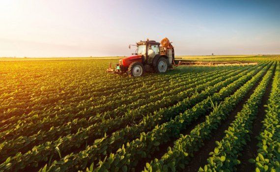 agricultura producție Moldova - AgroExpert.md