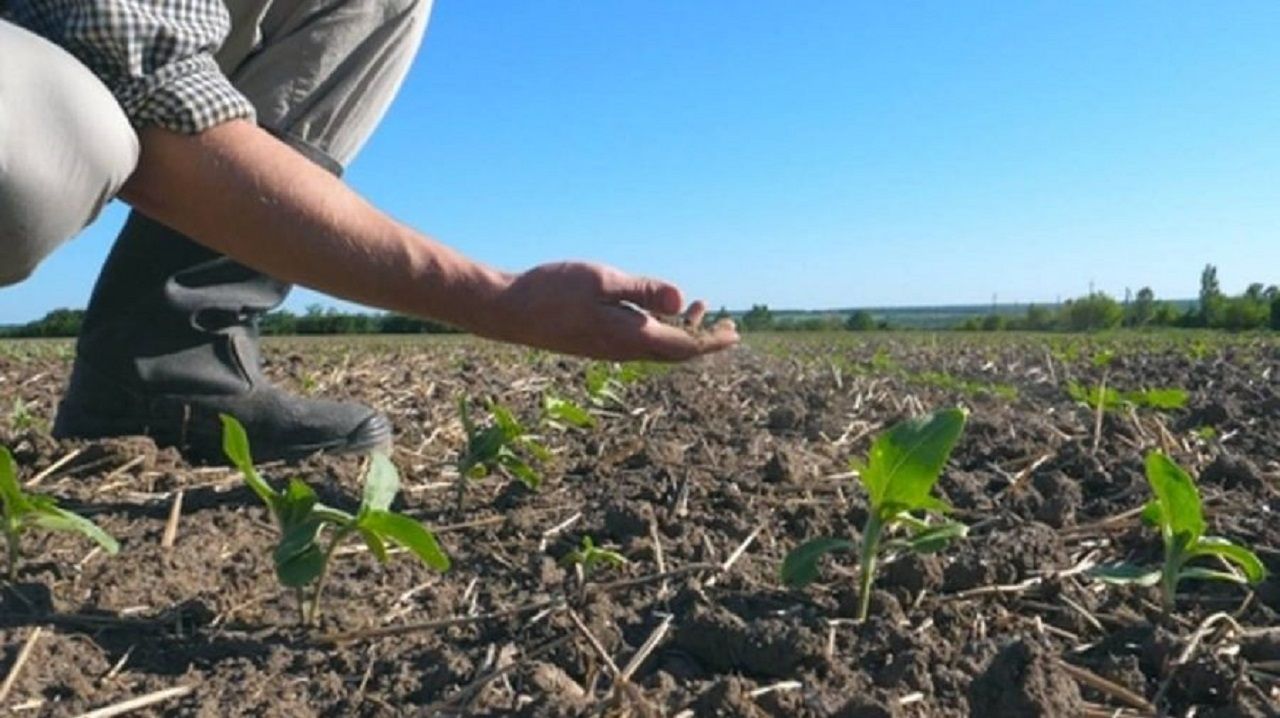 fermieri, subvenții agricultură - AgroExpert.md