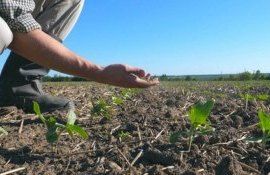 fermieri, subvenții agricultură - AgroExpert.md