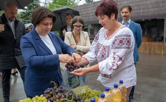 târg agricultori producție - AgroExpert.md