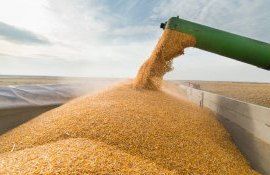 cereale ucraina export - AgroExpert.md