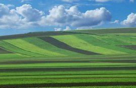 terenuri agricole destinație - agroExpert.md