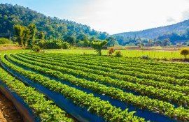 agricultură UE - AgroExpert.md