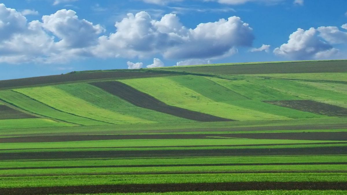 terenuri ucraina vânzare - AgroExpert.md