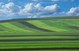 terenuri ucraina vânzare - AgroExpert.md