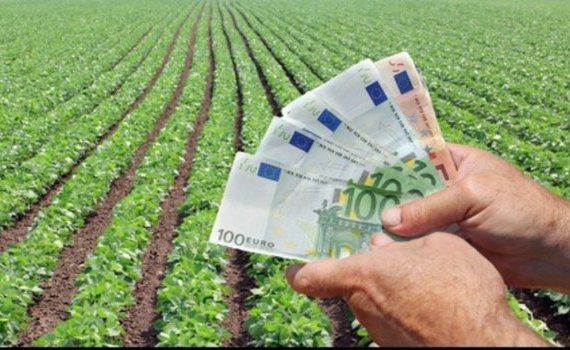 subventii UE - AgroExpert.md
