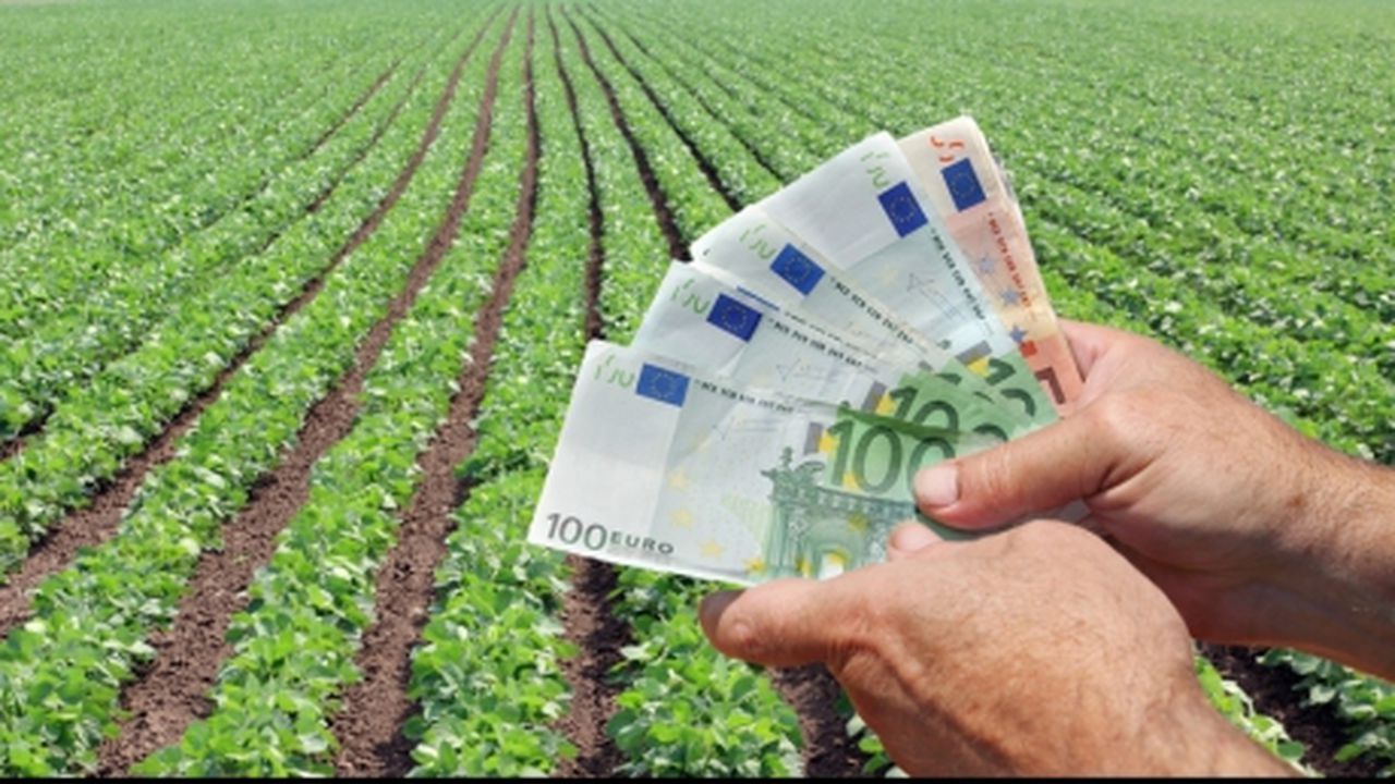 subventii UE - AgroExpert.md