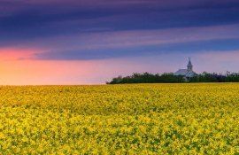 culturi agricultură UE - AgroExpert.md