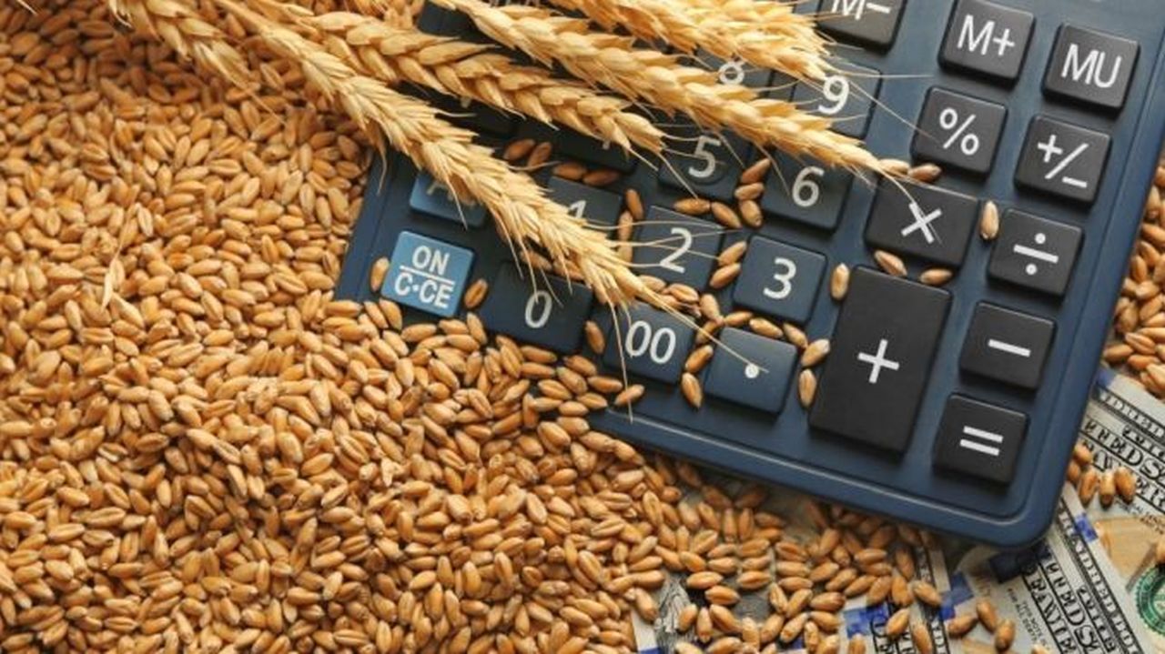 cereale preț bursă - AgroExpert.md