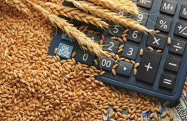 cereale preț bursă - AgroExpert.md