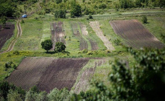 asigurari, terenuri fermieri - AgroExpert.md