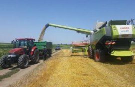 recolta Rusia cereale - AgroExpert.md