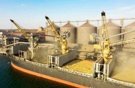 export cereale Ucraina - AgroExpert.md