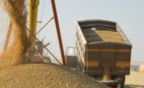 cereale Ucraina scădere - Agroexpert.md