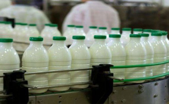 lapte productie Turcia - AgroExpert.md