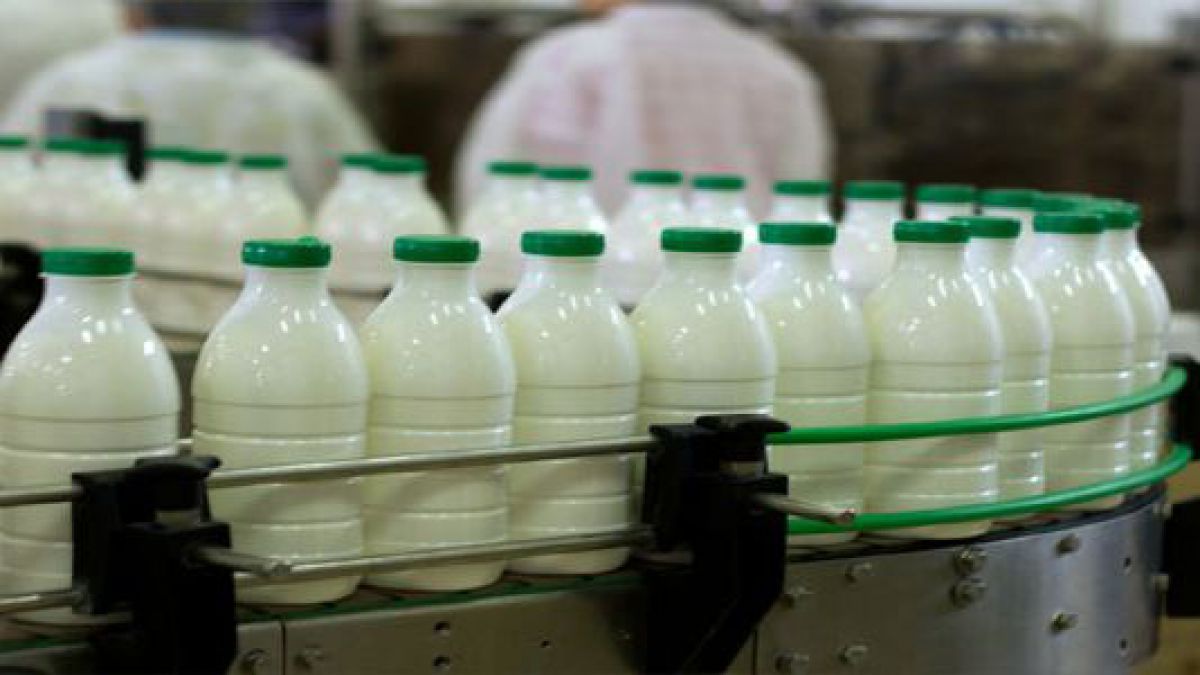 lapte productie Turcia - AgroExpert.md