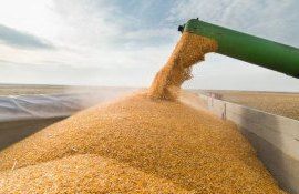 cereale ucraina - AgroExpert.md