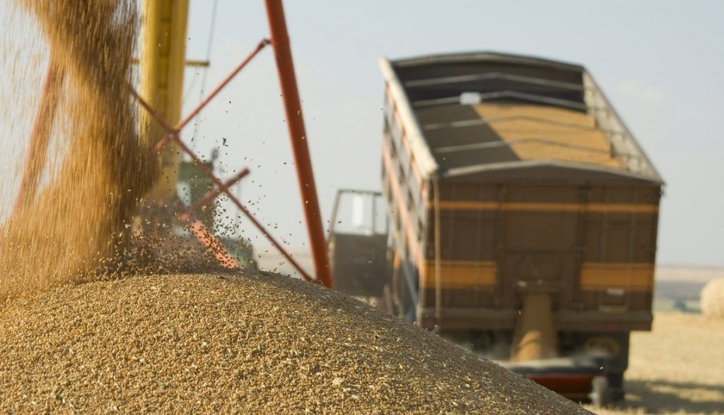 cereale export ucraina - AgroExpert.md