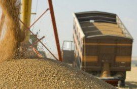 cereale export ucraina - AgroExpert.md