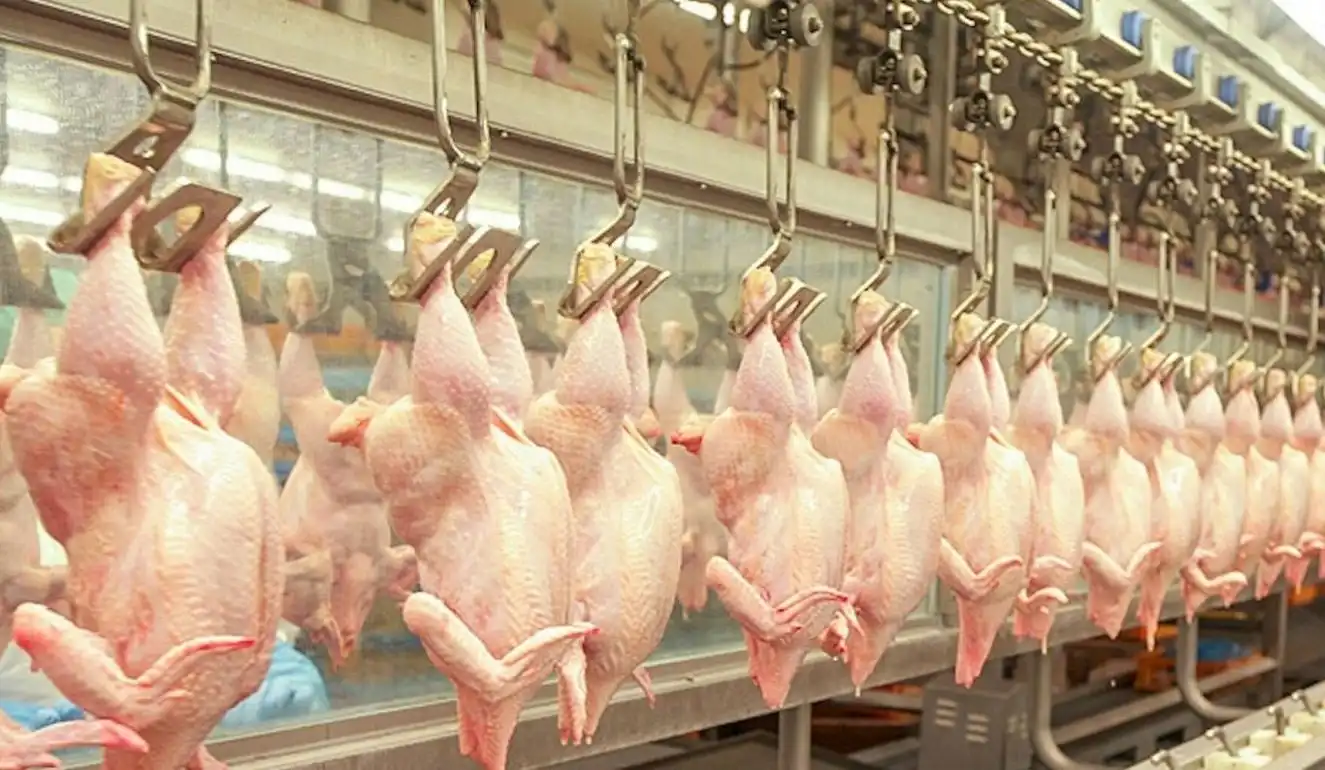 Экспорт мяса птицы из РФ с начала года вырос на 30%   