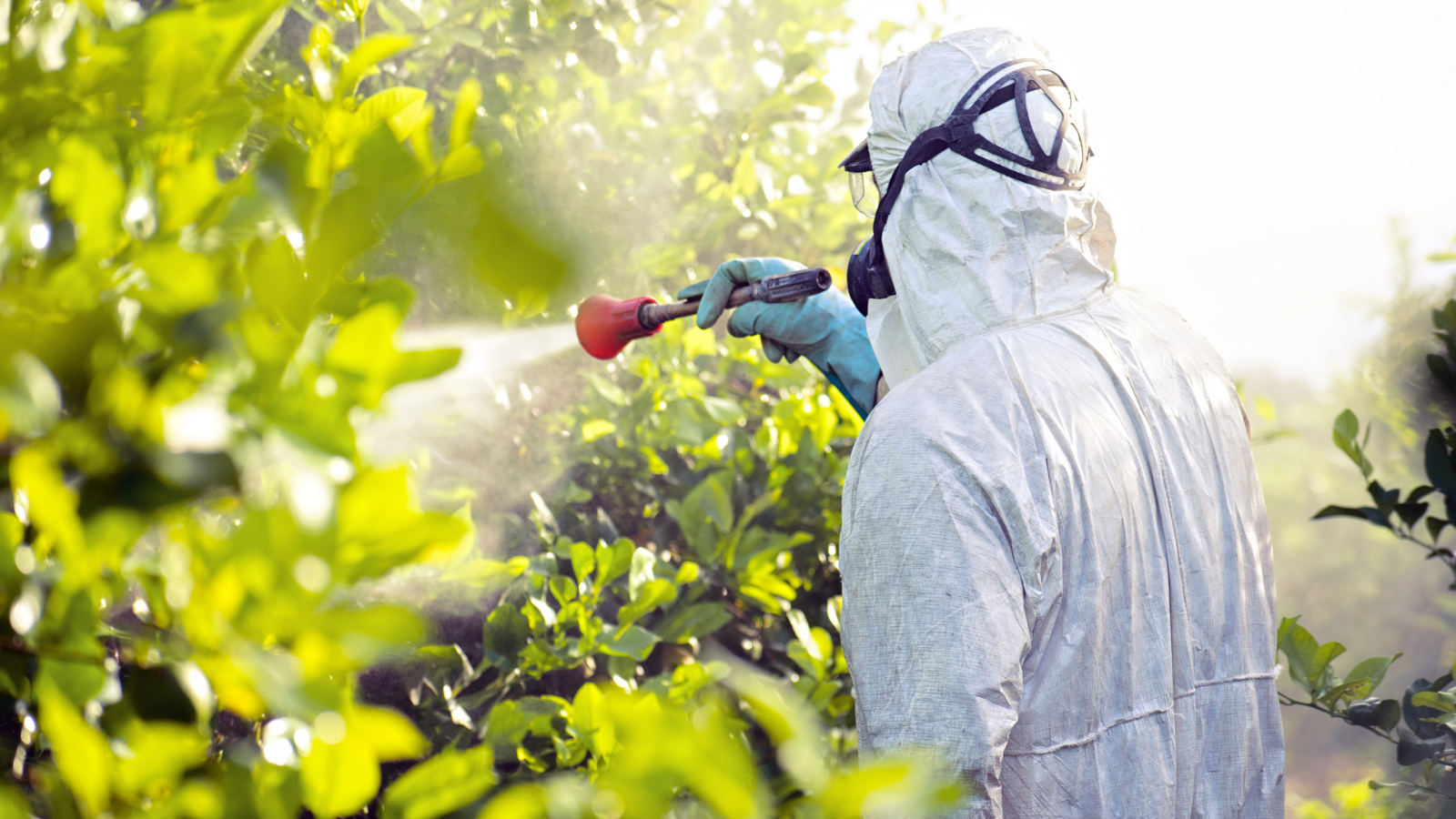 pesticide ue comisie - AgroExpert.md