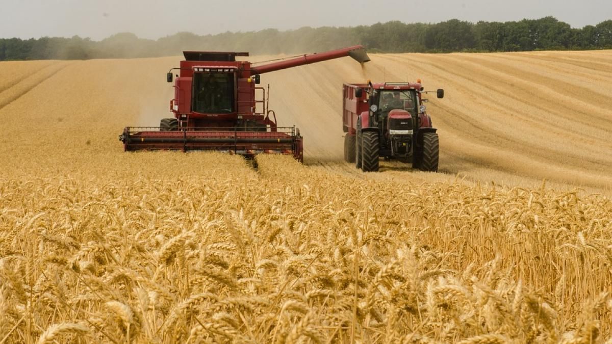 recolta fermieri România - AgroExpert.md