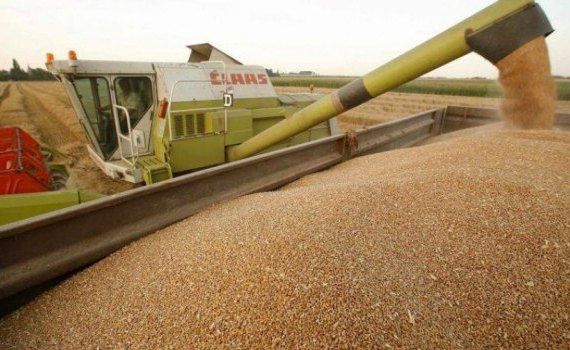 recolta cereale Ucraina - AgroExpxert.md