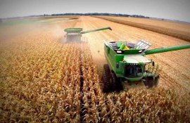 porumb recolta România - AgroExpert.md