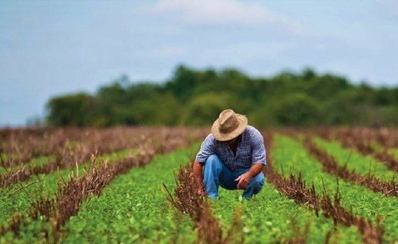 muncitori agricultura UE - AgroExpert.md