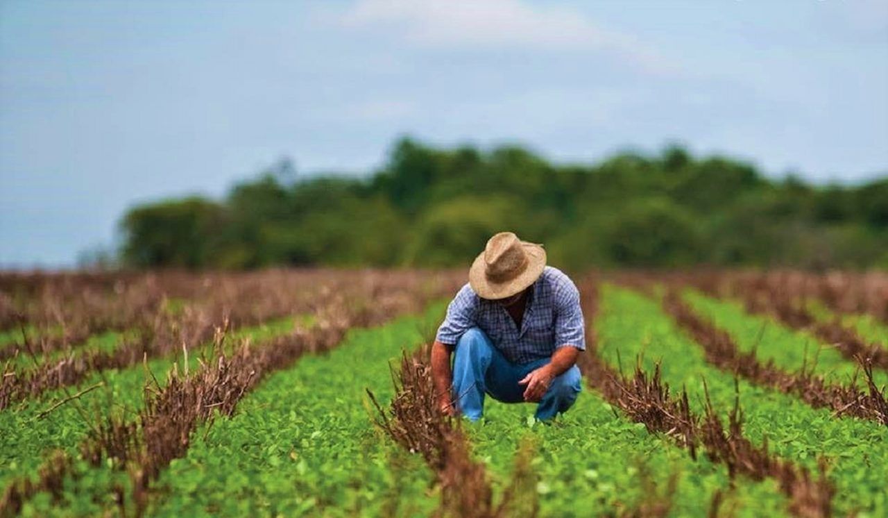 muncitori agricultura UE - AgroExpert.md