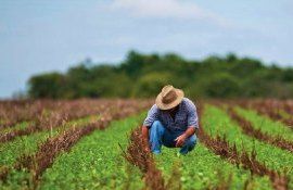 muncitori agricultura UE - AgroExpert.md