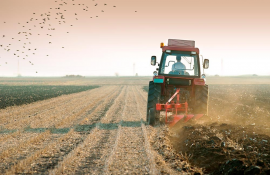 credite agricultori neperformante - AgroExpert.md