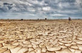 seceta România suprafață - AgroExpert.md