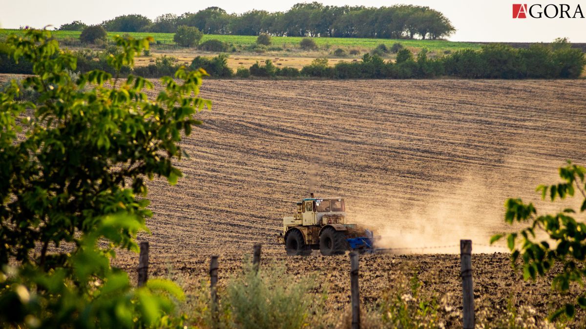 colaborare oportunități agroalimentar - AgroExpert.md