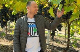 struguri fermier recoltă - AgroExpert.md