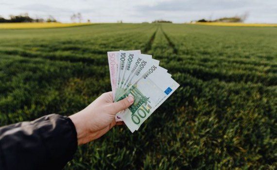 credite agricultori lei - AgroExpert.md
