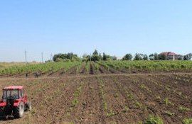 subventii fermieri agricultura - AgroExpert.md