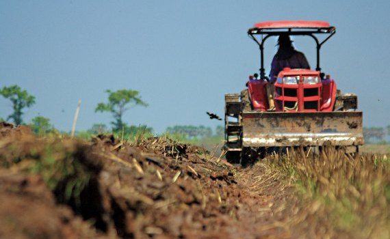 fermieri, TVA, rambursare - AgroExpert.md