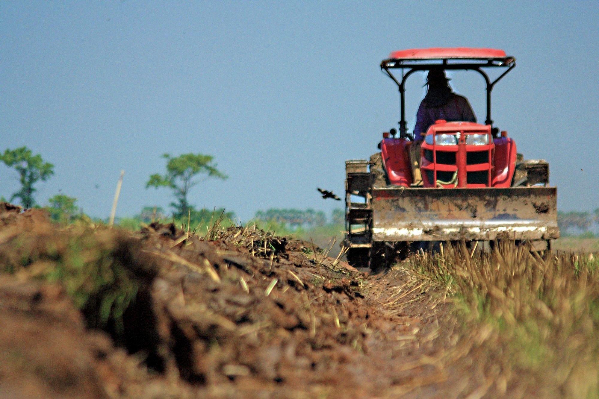 fermieri, TVA, rambursare - AgroExpert.md