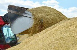 cereale export România - AgroExpert.md