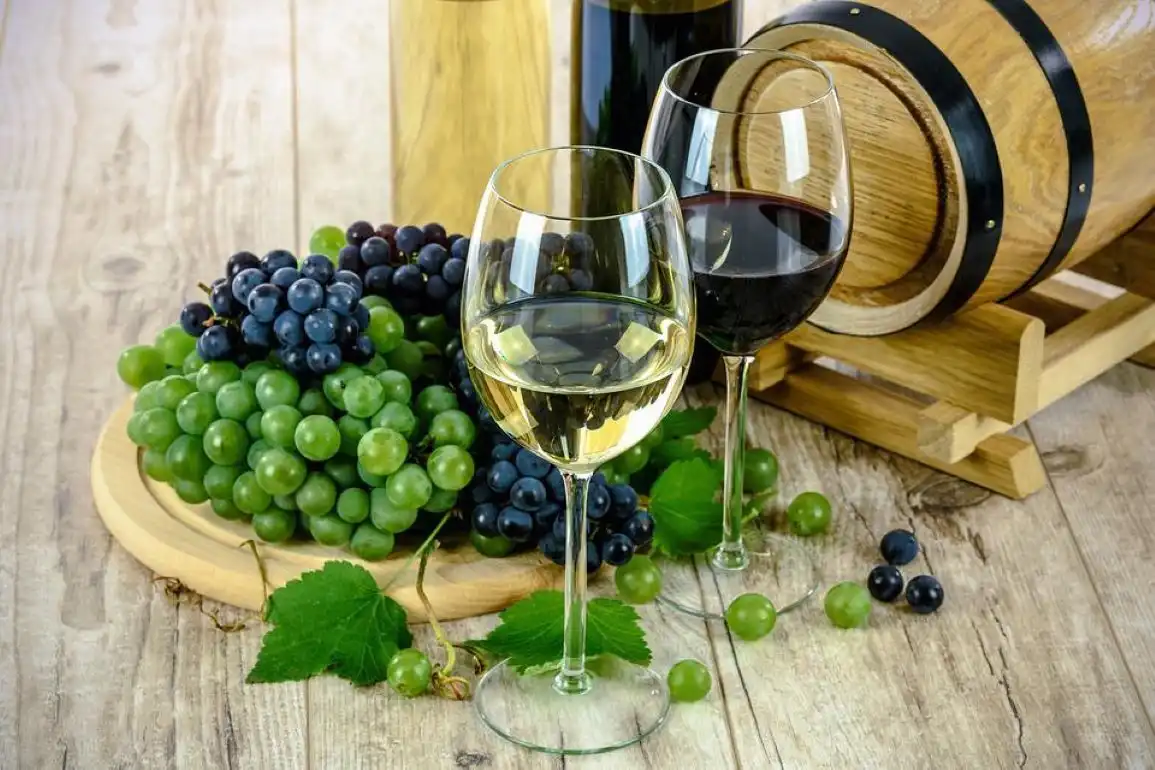 Молдавские виноделы приглашаются в Италию для участия в выставке Vinitaly в Вероне