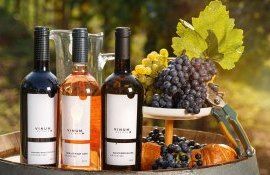 vin expozitie producatori - agroExpert.md