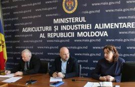 Igor Grigoriev: ”MAIA nu intenționează să interzică exportul de cereale, lucru îmbucurător pentru exportatorii noștri”
