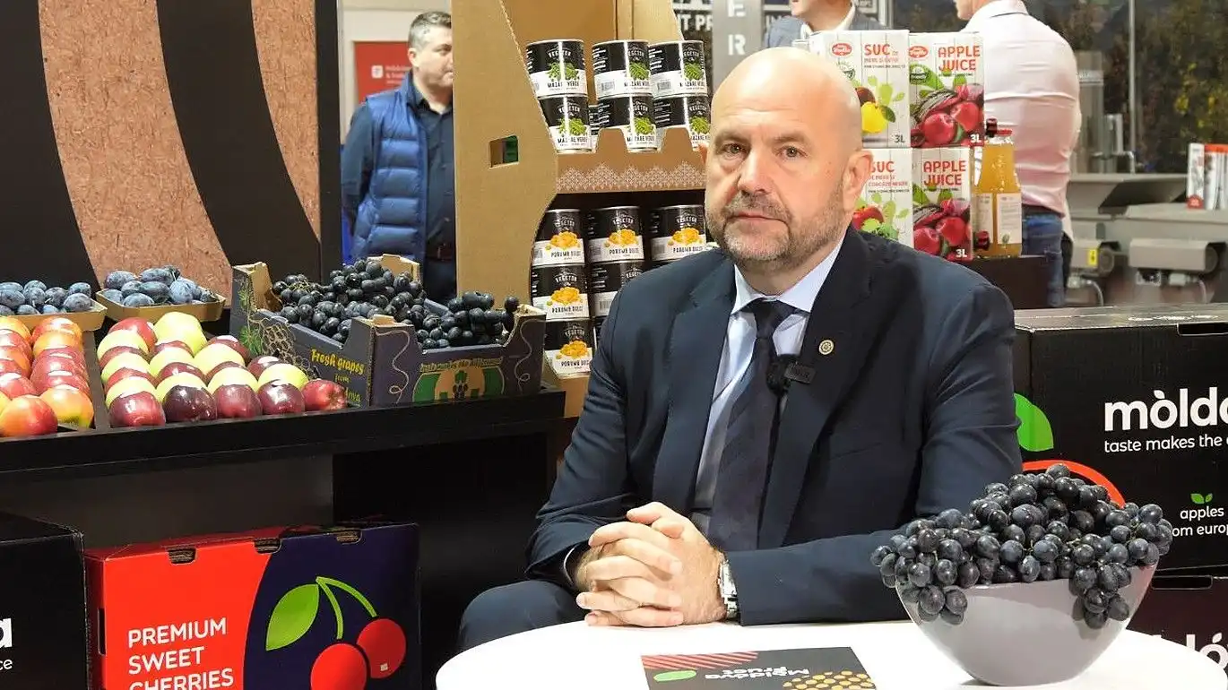 Agricultura Republicii Moldova, dependentă de exporturi! Bolea: 85% din producție e destinată piețelor externe