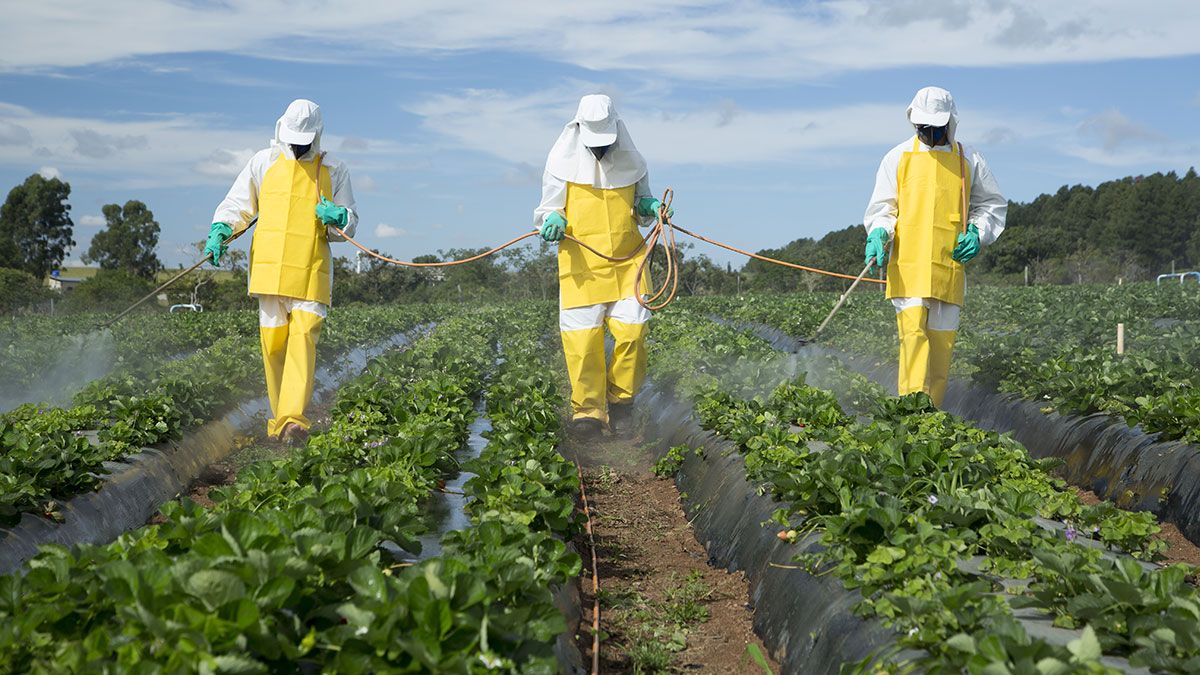 pesticide UE reglementări - AgroExpert.md