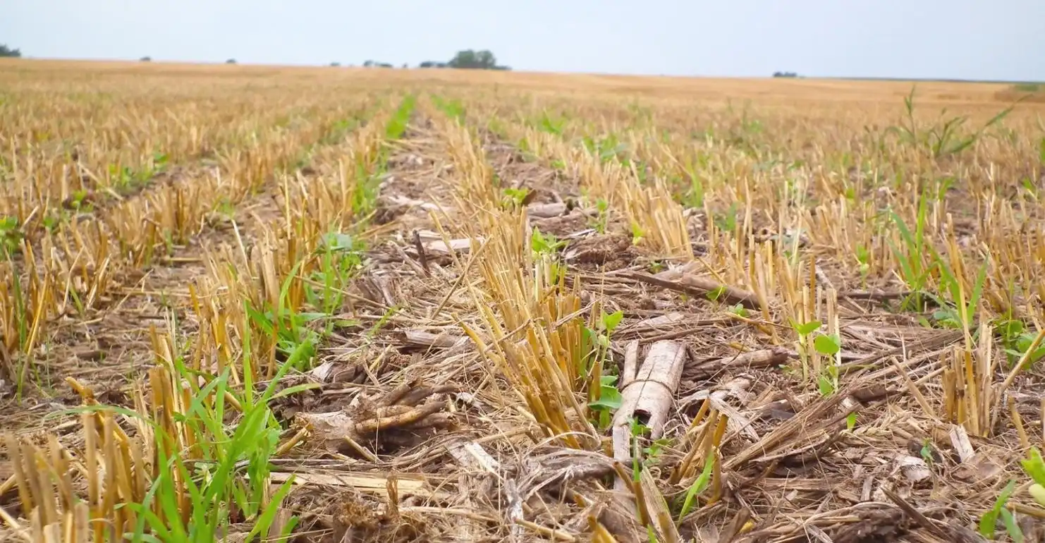Процессы инфильтрации в почве, — влияние на них технологии обработки no-till