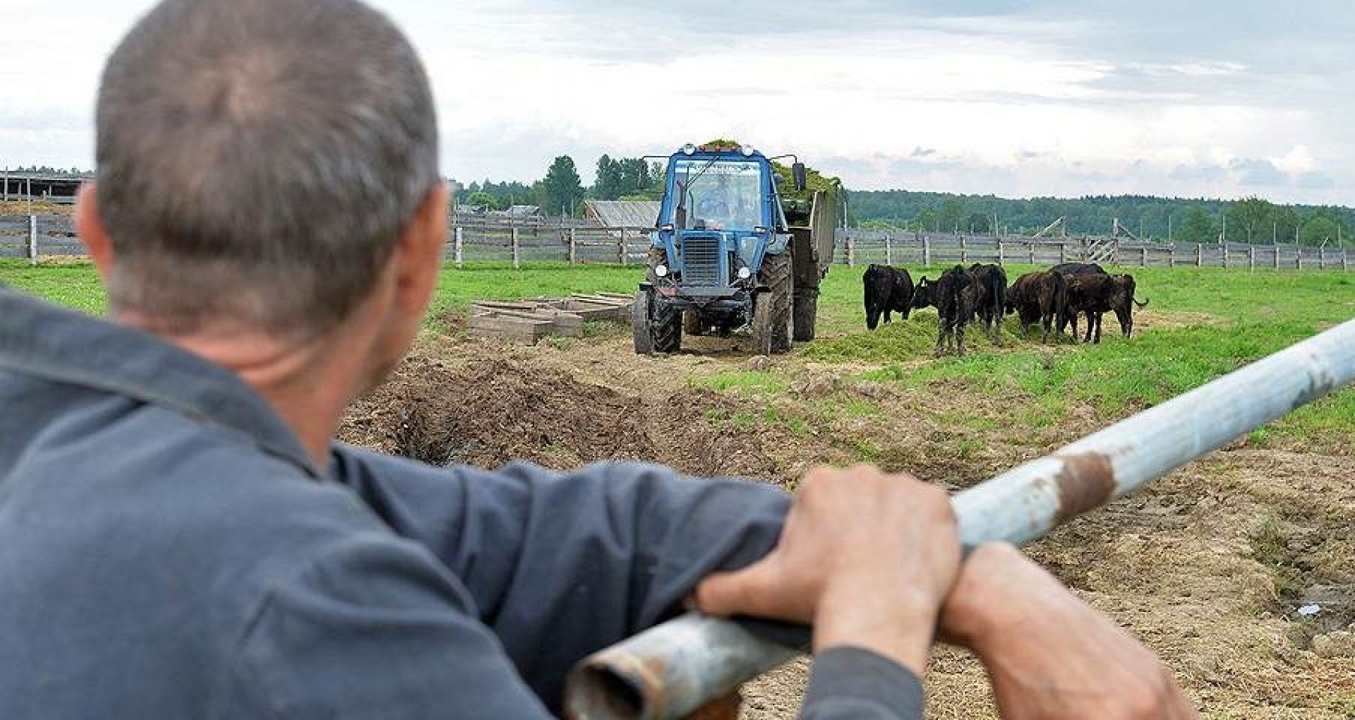 fermieri munca salariu - AgroExpert.md