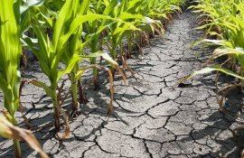 seceta România terenuri- AgroExpert.md