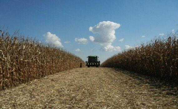 tva fermieri imm- AgroExpert.md