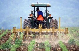 femieri bani suport - Agro Expert.md